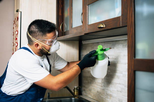Best Commercial Pest Control Services  in Peach Lake, NY