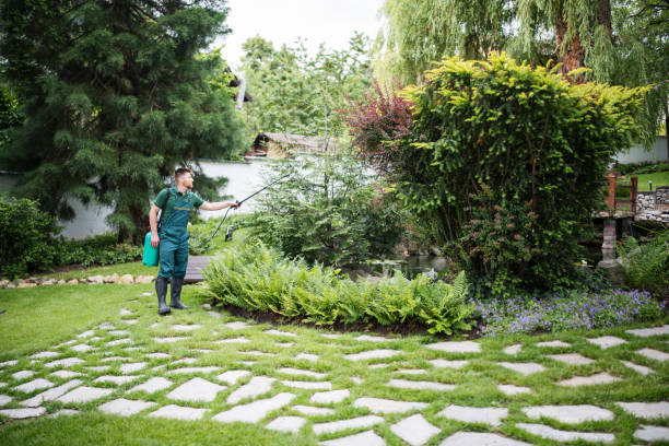 Best Residential Pest Control  in Peach Lake, NY